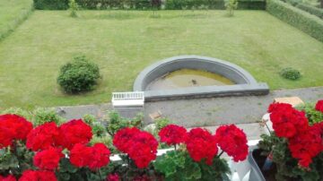 Wohnen im Park - sehr schöne Wohnung - Blick in den Garten