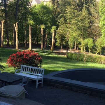 Wohnen im Park - sehr schöne Wohnung - Garten